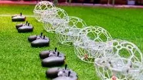 2025亚洲三站游泳世界杯赛事即将启幕