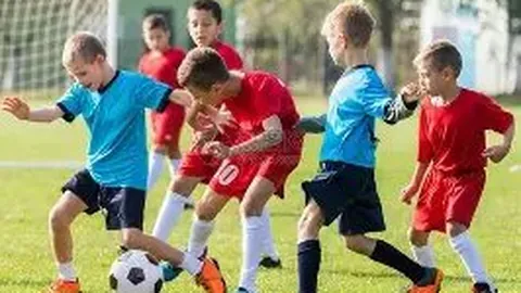 竞技宝网页入口 产品 101442 d6s